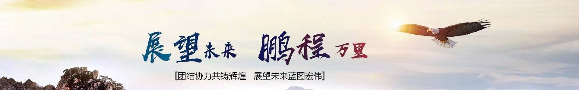 企业荣誉